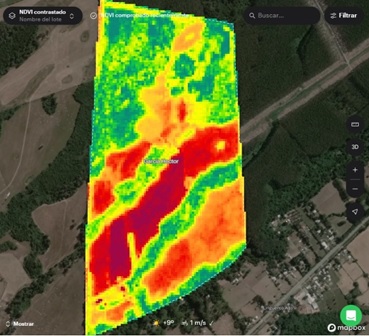 Índice NDVI