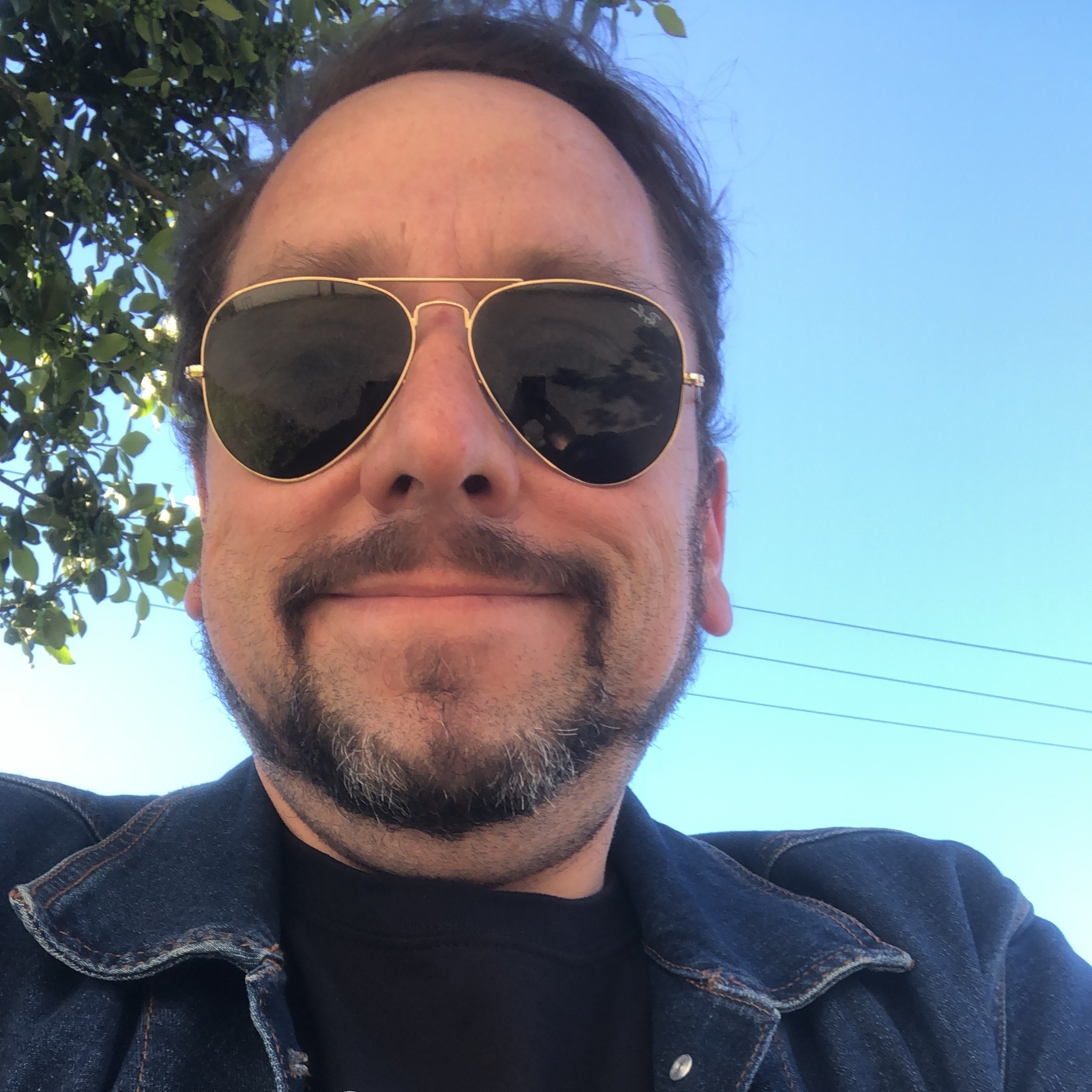 Marcelo E. Aubel